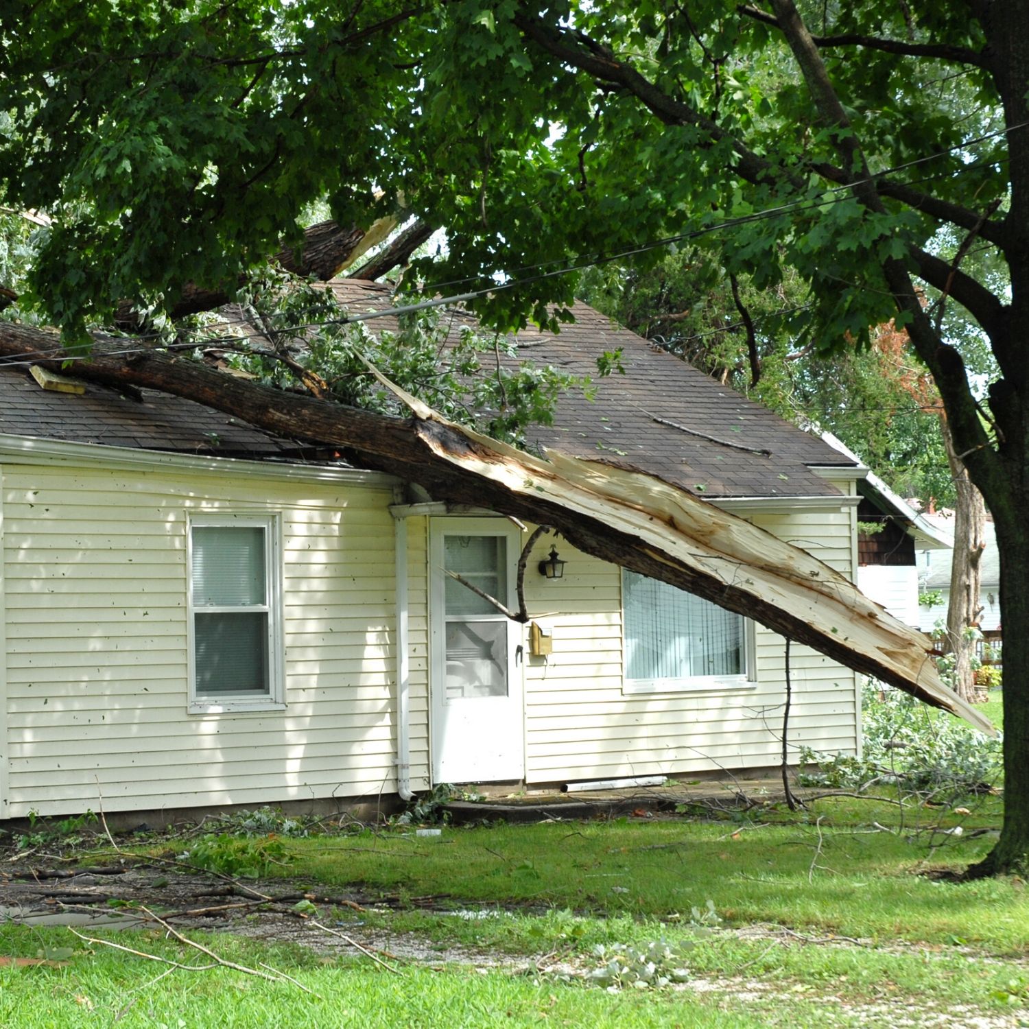 tree on roof - house before damage restoration