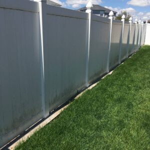 fence before surface cleaning with mold and mildew